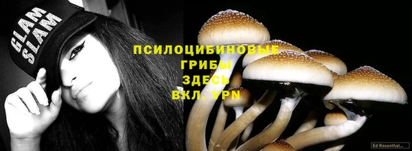 бошки Аркадак