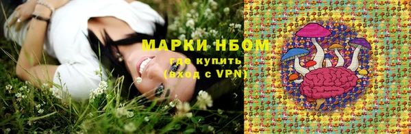 бошки Аркадак