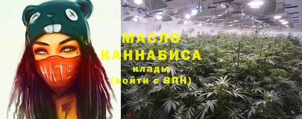 индика Армянск