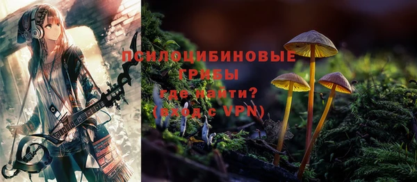 прущий лед Арсеньев