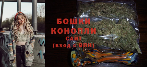 бошки Аркадак